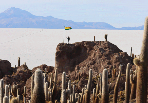 Voyage Tiwanaku 13/15/21 días: Découverte de la Bolivie